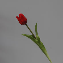 Load image into Gallery viewer, 5PCs PE Feel Tulip Artificial Flowers Desktop Simulation Flower