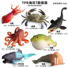 Load image into Gallery viewer, Marine Animal Model Prehistoric Trilobite Shrimp Chrysanthemum and Stone Cambrian Nautilidae Plate Foot Crab Children Teaching Toy Model