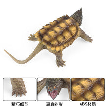 Load image into Gallery viewer, Freshwater Animal Crocodile Snapping Turtle Tortoise Tortoise Children's Science and Education Cognitive Biological Model Toy Decoration