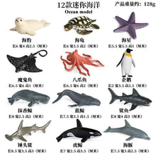 Load image into Gallery viewer, Marine Animal Model Prehistoric Trilobite Shrimp Chrysanthemum and Stone Cambrian Nautilidae Plate Foot Crab Children Teaching Toy Model