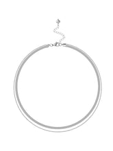 Load image into Gallery viewer, Simple Style Personalized Double Layer Snake Bones Chain Titanium Steel Necklace for Women Clavicle Chain Accessories