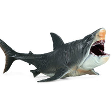 Load image into Gallery viewer, Large Megalodon Marine Animal Model Children's Educational Learning Decoration Toys Gift Animal Model