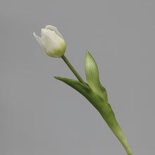 Load image into Gallery viewer, 5PCs PE Feel Tulip Artificial Flowers Desktop Simulation Flower
