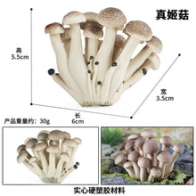 Load image into Gallery viewer, 19pcs/set Mushroom Model Vegetable Props Children's Puzzle Toy Decoration Decoration Scene Props