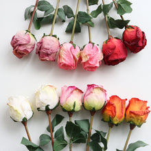 Load image into Gallery viewer, 5pcs/Set Artificial Rose Vintage Style Burnt Edge Rose Flower Decorative Table Artificial Flower