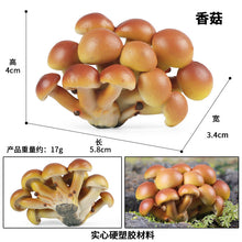 Load image into Gallery viewer, 19pcs/set Mushroom Model Vegetable Props Children's Puzzle Toy Decoration Decoration Scene Props