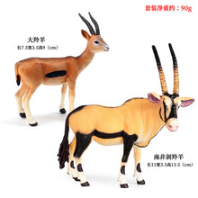Load image into Gallery viewer, Wild Animal Model Toys Decoration Solid Tiger Lion Hippo Rhinoceros Elephant Panda Cow Set Children's Toy