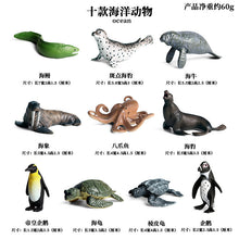 Load image into Gallery viewer, Marine Animal Model Prehistoric Trilobite Shrimp Chrysanthemum and Stone Cambrian Nautilidae Plate Foot Crab Children Teaching Toy Model