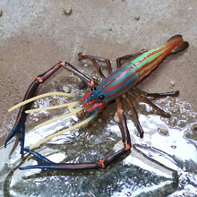 Load image into Gallery viewer, Animal Model Children's Educational Toys Simulation Shrimp Marine Biological Model Roche Shrimp White Feet Shrimp Teaching Toys