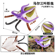 Load image into Gallery viewer, Marine Animal Model Prehistoric Trilobite Shrimp Chrysanthemum and Stone Cambrian Nautilidae Plate Foot Crab Children Teaching Toy Model