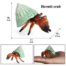 Load image into Gallery viewer, Hermit Crab Simulation Marine Animal Crab Submarine Creature Model Children's Educational Learning Toy Fish Tank Decoration