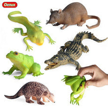 Load image into Gallery viewer, Conch Marine Life Model Children's Science and Education Cognitive Learning Toys