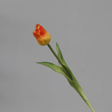 Load image into Gallery viewer, 5PCs PE Feel Tulip Artificial Flowers Desktop Simulation Flower
