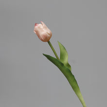 Load image into Gallery viewer, 5PCs PE Feel Tulip Artificial Flowers Desktop Simulation Flower