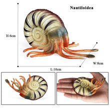 Load image into Gallery viewer, 2pcs/Set Simulation Marine Animals Snails Model Toys Ancient Creatures Children Puzzle Gift Nautilidae Conch Fish Tank Decoration