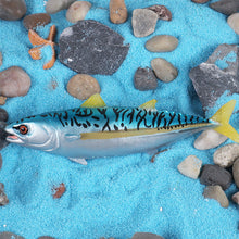 Load image into Gallery viewer, 3 Pcs/set Science and Education Marine Animal Model Solid Bluffin Tuna Tuna Children's Cognition Toy Decoration