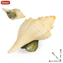 Load image into Gallery viewer, Conch Marine Life Model Children's Science and Education Cognitive Learning Toys