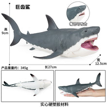 Load image into Gallery viewer, A Variety of Marine Life Models Great White Shark Megalodon Whale Shark Tiger Shark Blue Whale Children Learning Cognitive Ornaments