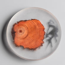 Load image into Gallery viewer, Teacup Mat Resin Heat Proof Mat Simple Cup Saucer Creative Gasket Tableware Heat Proof Mat