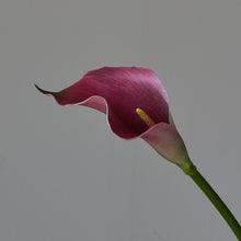 Load image into Gallery viewer, 5pcs Artificial Flower Common Calla Feels Really Artificial Flowers for Living Room Dining Table