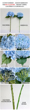 Load image into Gallery viewer, Artificial Flower Large Hydrangea Realistic Moist Feeling Hydrangea Artificial Wedding Flowers Decoration