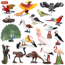 Load image into Gallery viewer, Oenux Classic Bird Animal Flamingos Parrot Sea Mew Peacock Owl Ostrich Model Solid PVC Action Figures Miniature Education Toy