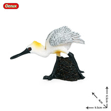 Load image into Gallery viewer, Oenux Classic Bird Animal Flamingos Parrot Sea Mew Peacock Owl Ostrich Model Solid PVC Action Figures Miniature Education Toy