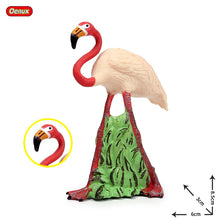 Load image into Gallery viewer, Oenux Classic Bird Animal Flamingos Parrot Sea Mew Peacock Owl Ostrich Model Solid PVC Action Figures Miniature Education Toy