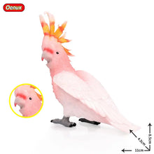Load image into Gallery viewer, Oenux Classic Bird Animal Flamingos Parrot Sea Mew Peacock Owl Ostrich Model Solid PVC Action Figures Miniature Education Toy