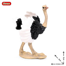 Load image into Gallery viewer, Oenux Classic Bird Animal Flamingos Parrot Sea Mew Peacock Owl Ostrich Model Solid PVC Action Figures Miniature Education Toy