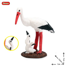Load image into Gallery viewer, Oenux Classic Bird Animal Flamingos Parrot Sea Mew Peacock Owl Ostrich Model Solid PVC Action Figures Miniature Education Toy