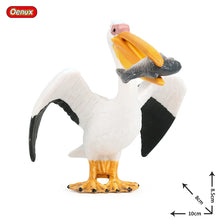 Load image into Gallery viewer, Oenux Classic Bird Animal Flamingos Parrot Sea Mew Peacock Owl Ostrich Model Solid PVC Action Figures Miniature Education Toy