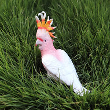 Load image into Gallery viewer, Oenux Classic Bird Animal Flamingos Parrot Sea Mew Peacock Owl Ostrich Model Solid PVC Action Figures Miniature Education Toy