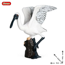 Load image into Gallery viewer, Oenux Classic Bird Animal Flamingos Parrot Sea Mew Peacock Owl Ostrich Model Solid PVC Action Figures Miniature Education Toy