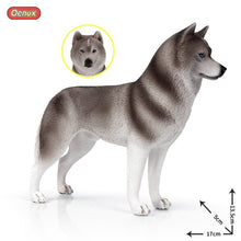 Load image into Gallery viewer, Oenux New Big Dog Animal Simulation Bull Terrier Rottweiler Corgi Shiba Inu Bully Dog Action Figures Pvc Lovely Pet Model Toys