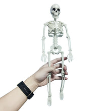 Load image into Gallery viewer, People Active Model skeleto Anatomy Skeleton Skeleton Model Medical Learning Halloween Party Decoration Skeleton Art Sketch