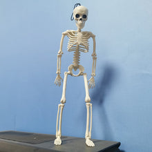 Load image into Gallery viewer, People Active Model skeleto Anatomy Skeleton Skeleton Model Medical Learning Halloween Party Decoration Skeleton Art Sketch