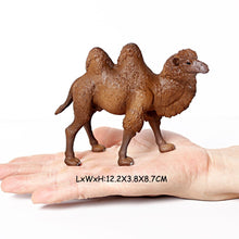 Load image into Gallery viewer, Wild animal models realistic hand-painted Partridge, donkeys, camels, moose toys Christmas birthday gifts for children