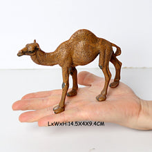 Load image into Gallery viewer, Wild animal models realistic hand-painted Partridge, donkeys, camels, moose toys Christmas birthday gifts for children