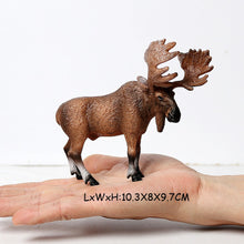 Load image into Gallery viewer, Wild animal models realistic hand-painted Partridge, donkeys, camels, moose toys Christmas birthday gifts for children