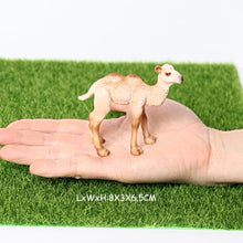 Load image into Gallery viewer, Wild animal models realistic hand-painted Partridge, donkeys, camels, moose toys Christmas birthday gifts for children