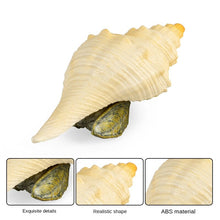 Load image into Gallery viewer, Conch Marine Life Model Children's Science and Education Cognitive Learning Toys