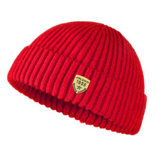 Load image into Gallery viewer, Autumn and winter knitted hat men's warm woolen hat couple pullover landlord hat ins street melon skin hat 1998 logo