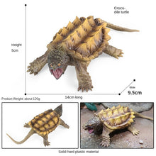 Load image into Gallery viewer, Freshwater Animal Crocodile Snapping Turtle Tortoise Tortoise Children's Science and Education Cognitive Biological Model Toy Decoration