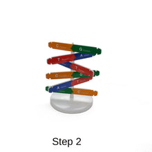 Load image into Gallery viewer, Human Genetic Model DNA Double Helix Diy Biological Science Experiment Equipment Medical Popular Science Teaching AIDS