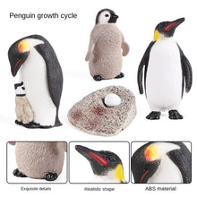 Load image into Gallery viewer, Penguin Growth Cycle Animal Model Simulation Antarctic Animal Solid Static Marine Life Children's Cognitive Learning Toy