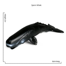 Load image into Gallery viewer, Sea Life Animals Dolphin Crab Shark Turtle Model Action Figures Ocean Marine Aquarium Miniature Cognition Education Toy for Kids