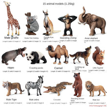 Load image into Gallery viewer, Wild Animal Model Toys Decoration Solid Tiger Lion Hippo Rhinoceros Elephant Panda Cow Set Children's Toy