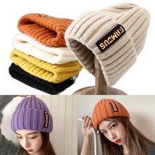 Load image into Gallery viewer, New Long Label Knit Beanie Soft Sun Protection Winter Hat Solid Color Crochet Design Crochet Hat Winter Season