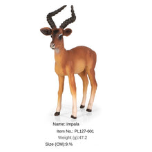 Load image into Gallery viewer, Wild Forest Animal Zoo plastic Models Simulation Antelope Gazelle Argali Model Action Figure Figurines Teaching Kids Toys
